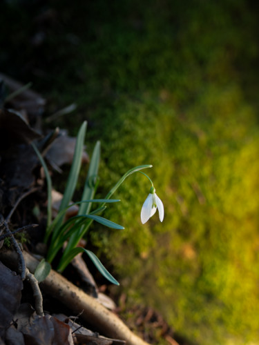 Jar začína potichu. ????