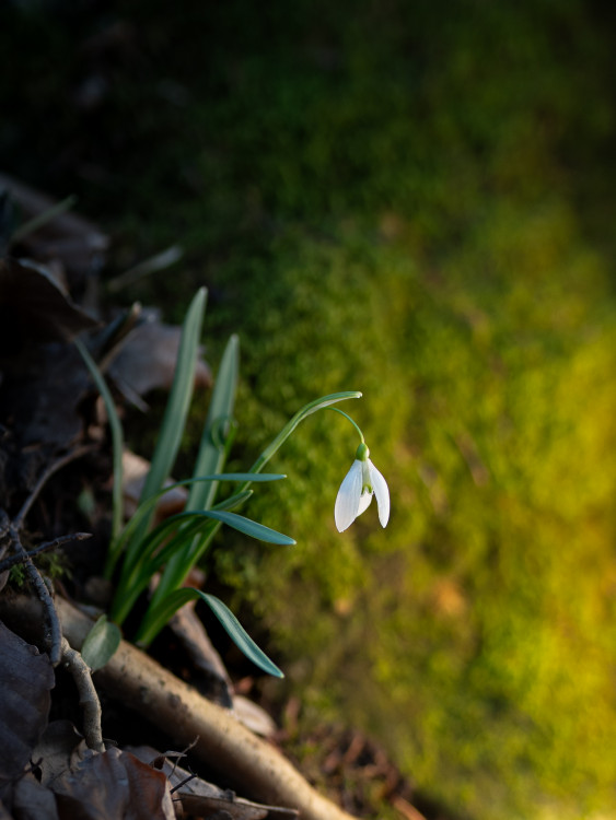 Jar začína potichu. ????