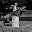 barrel racing