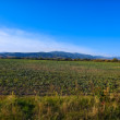Horná Nitra