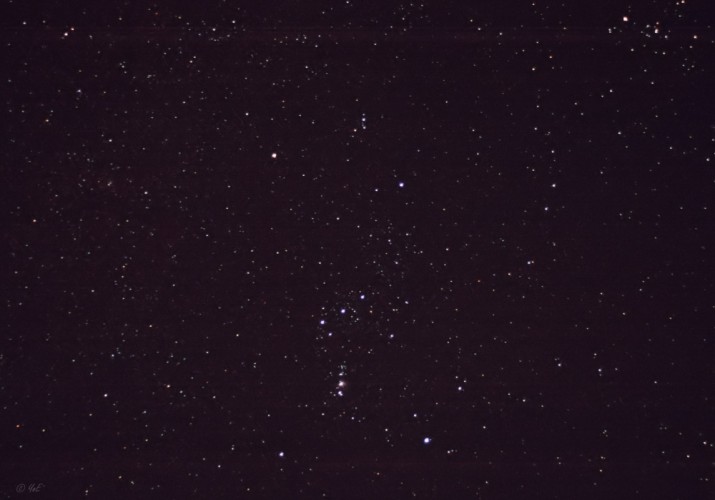 Orion