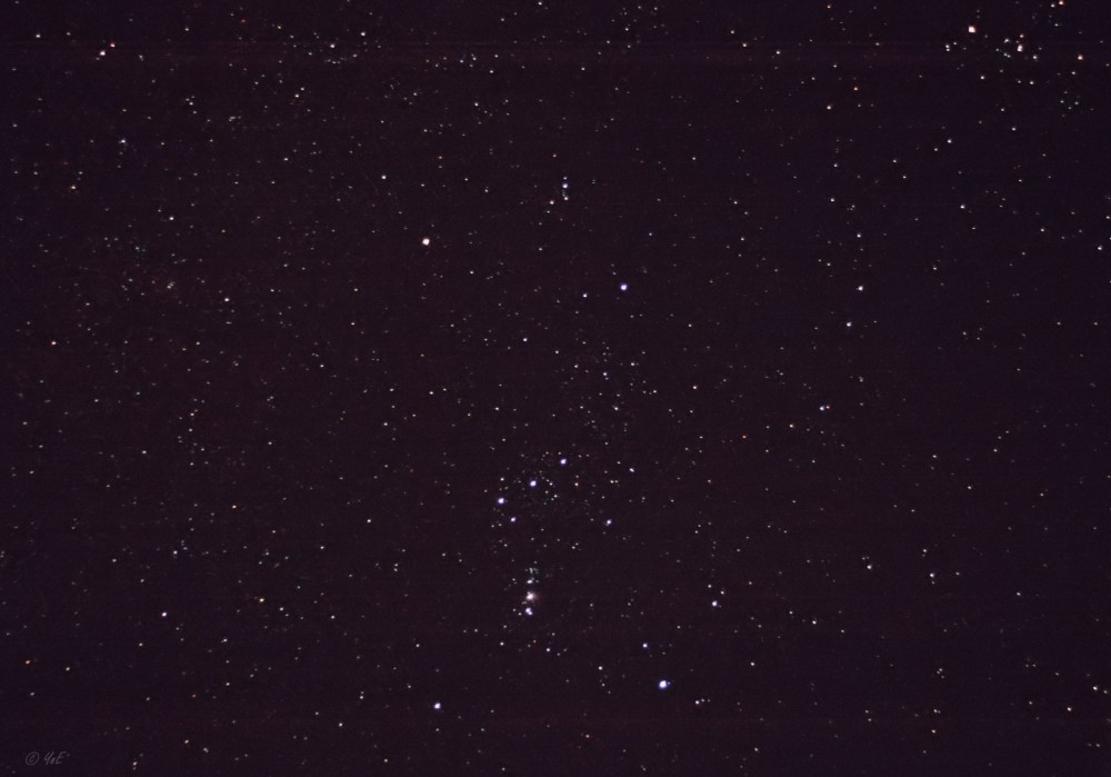 Orion