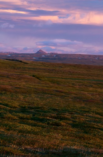 Polnočná tundra