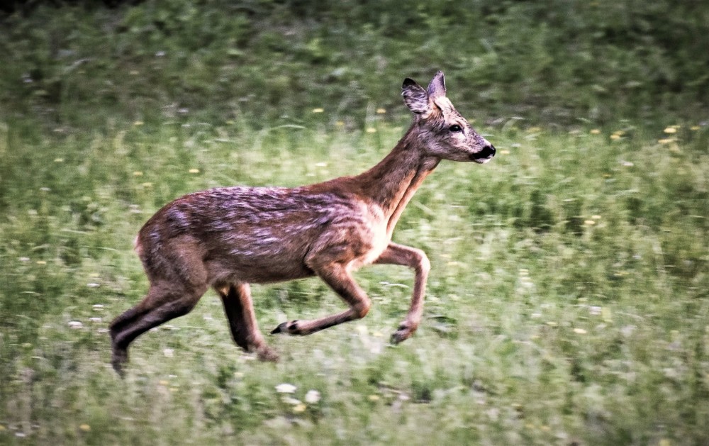 Útěk