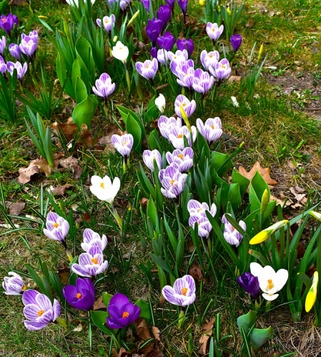 Mezipaneláková směs