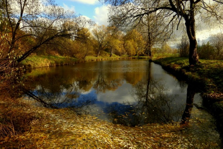 Zrkadlo jesene