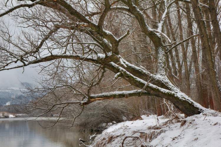 zima, krajina