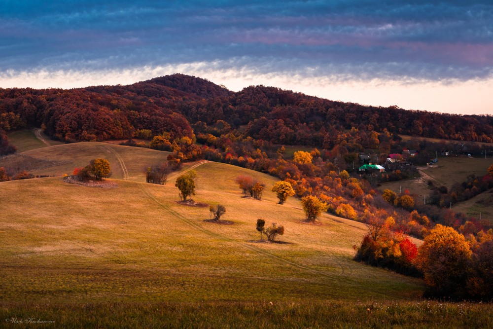 Colorful morning