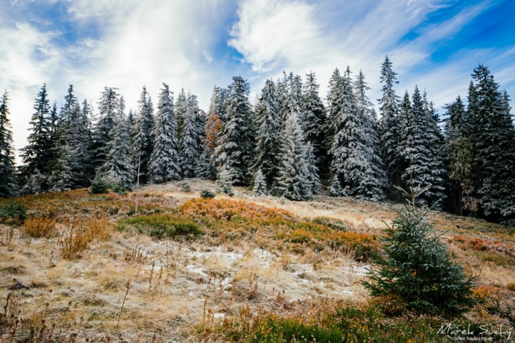 Nízke Tatry I.