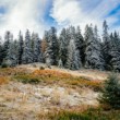Nízke Tatry I.