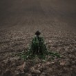 Root