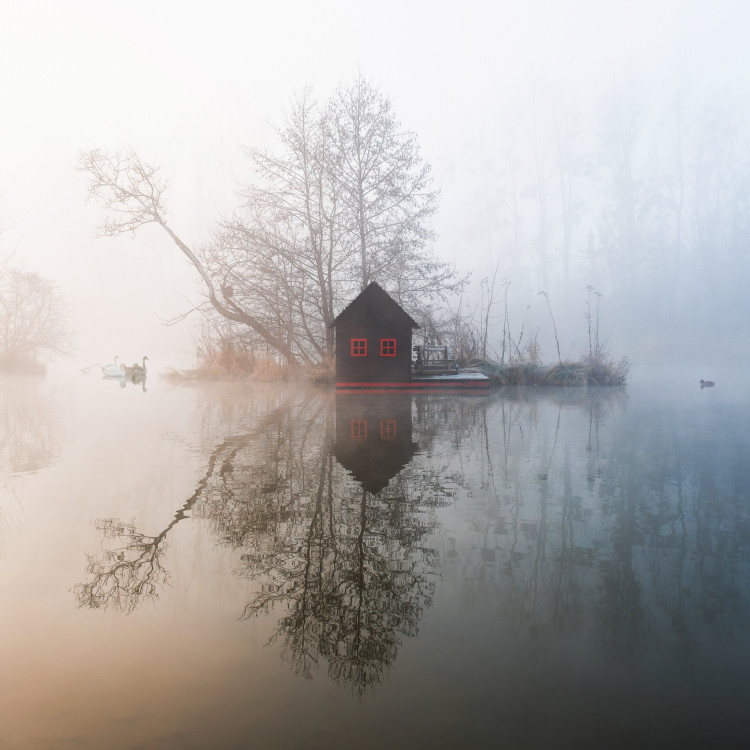 Swan Lake