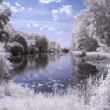 Dolná Streda - Rameno