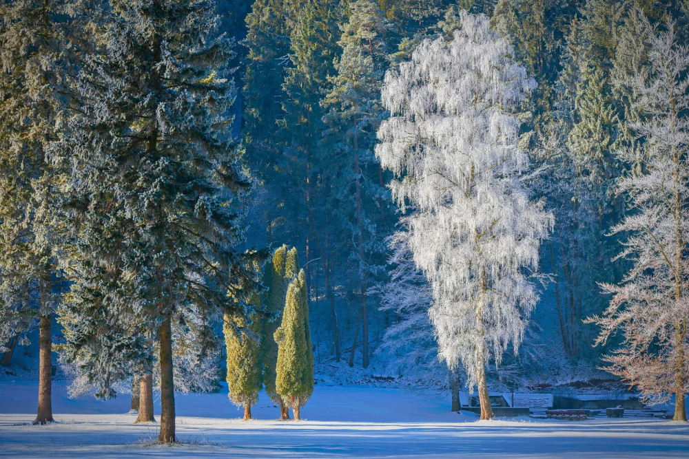 Inoväť v kúpeloch Lúčky