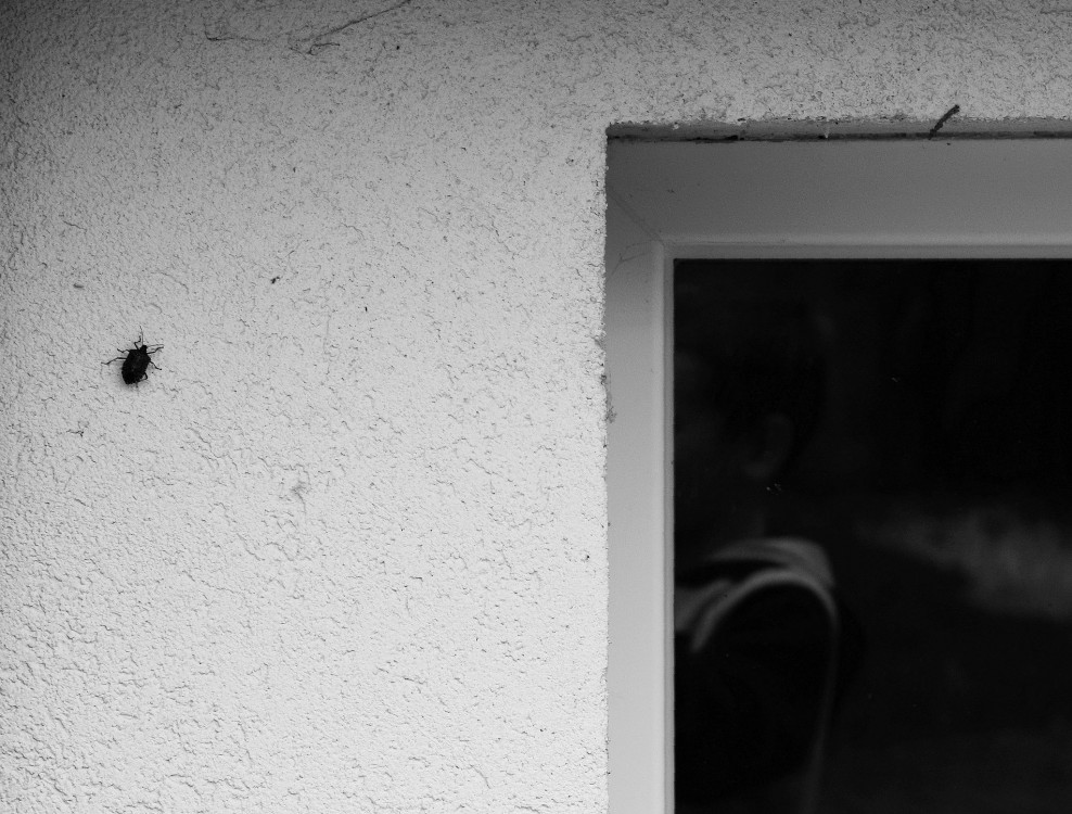 malý fotograf