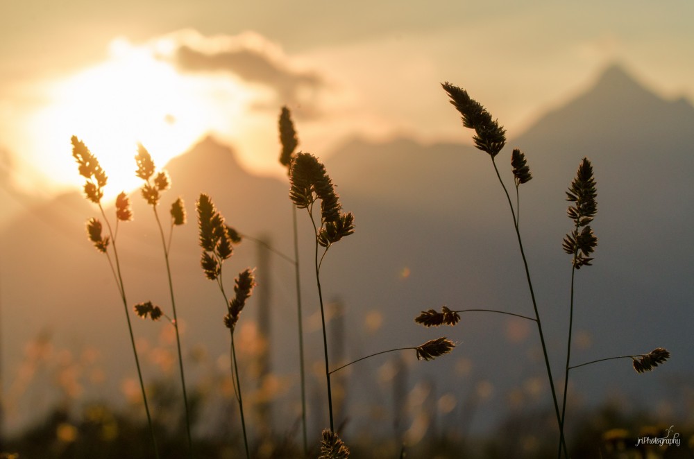 Tatry