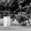 Barrel racing rider