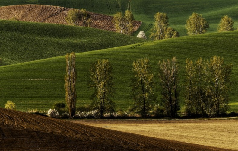 Turčianske línie