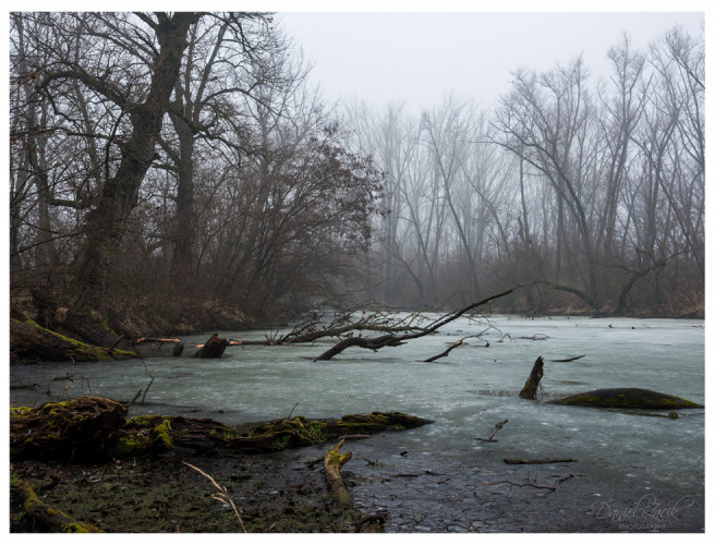 Pralesná atmosféra