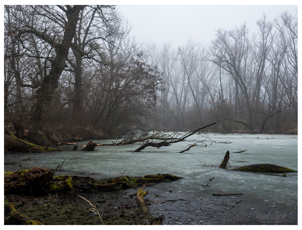 Pralesná atmosféra