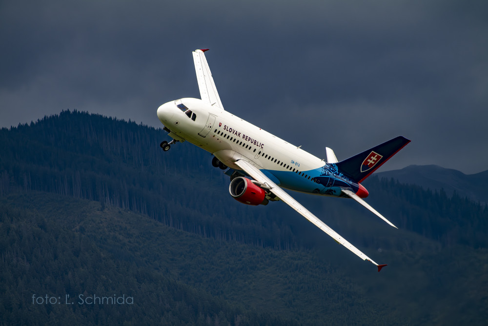AIRBUS A 320