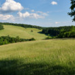 zelené vlny
