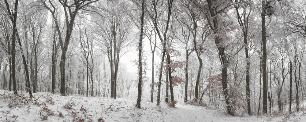 Zimná panoráma I.