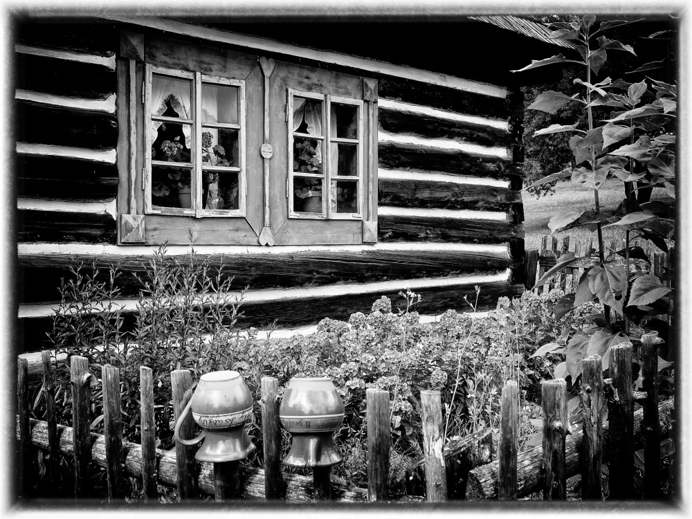 Drevenica BW