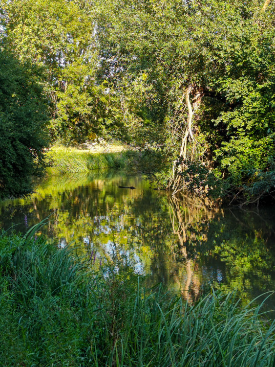 Malý Dunaj