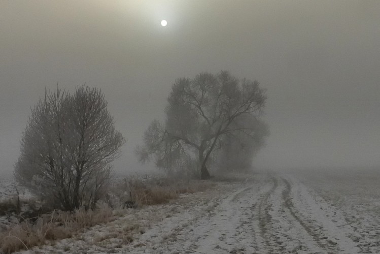 Cesta za slnkom