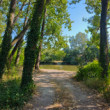 K malému Dunaju