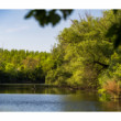 Vah