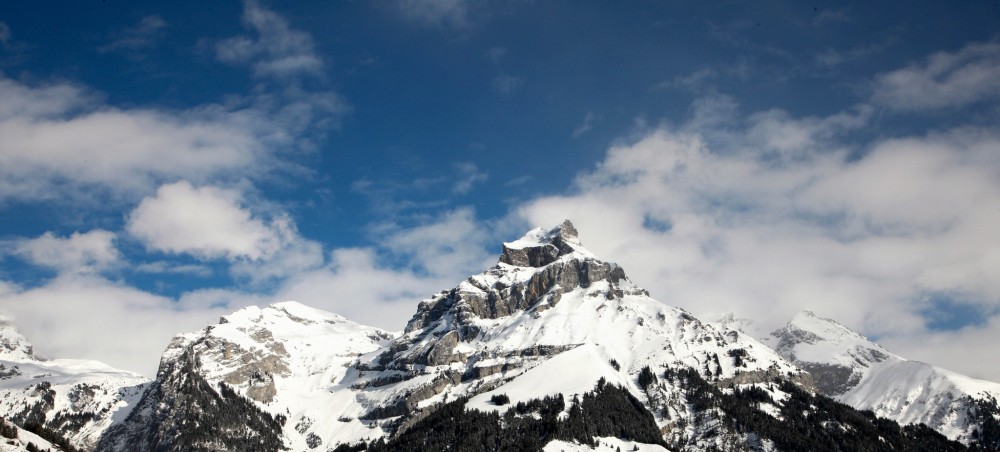 Swiss Panorama