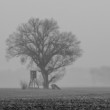 Strom