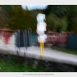 ICM (Intentional Camera Movement)