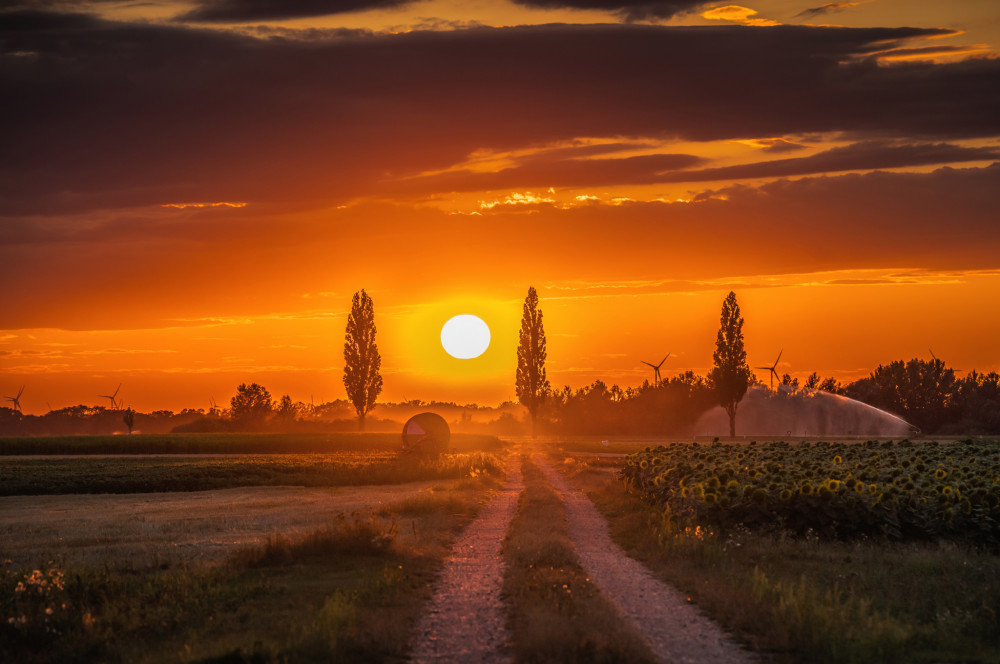 countryroads