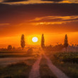 countryroads
