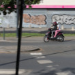 Spolu