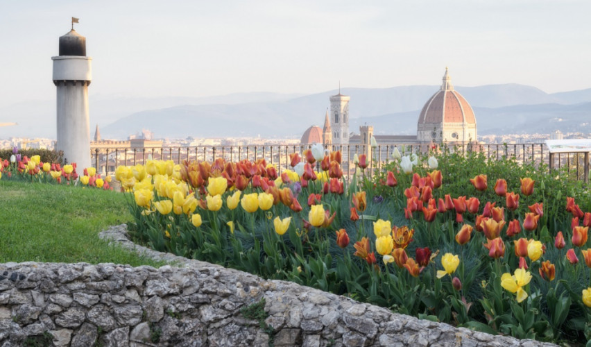 TULIPANI DA PIAZZALE MICHELANGELO - FIRENZE