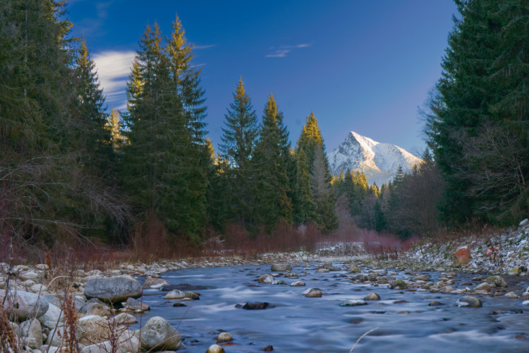 Kriváň- symbol Slovenska