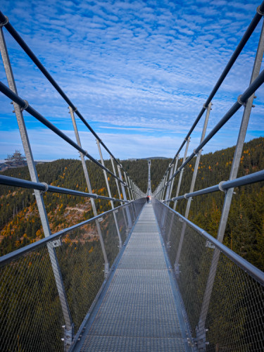 Most Sky Bridge 721