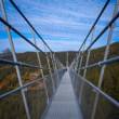 Most Sky Bridge 721