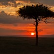 Západ slnka v Masai Mara