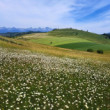 Margaretkovo 2
