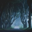 The Dark Hedges