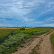 Trnavská rovina