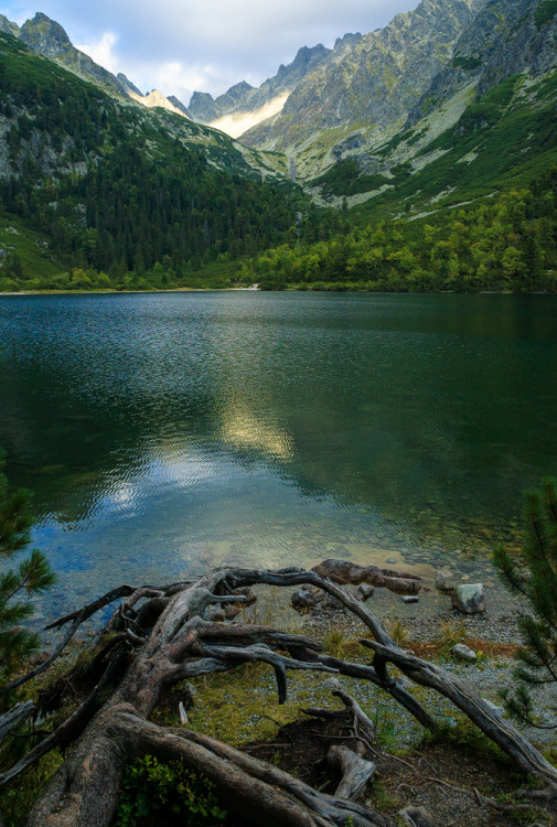 Pleso
