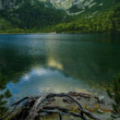 Pleso