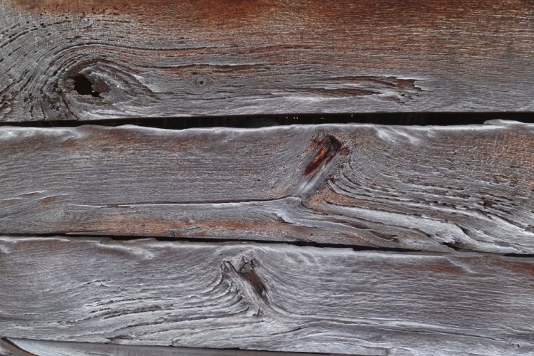 Textúra dreva