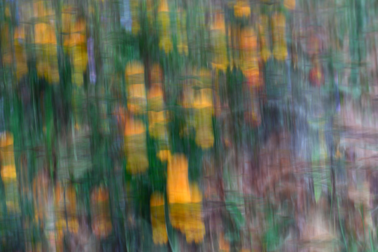 icm
